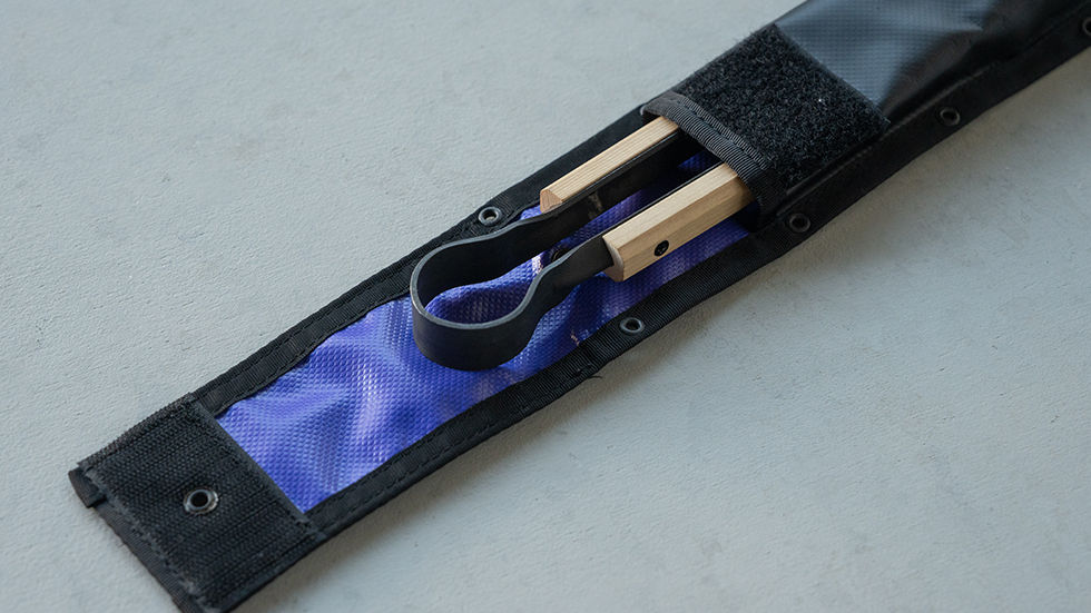 PULSE CASE(Balistics)