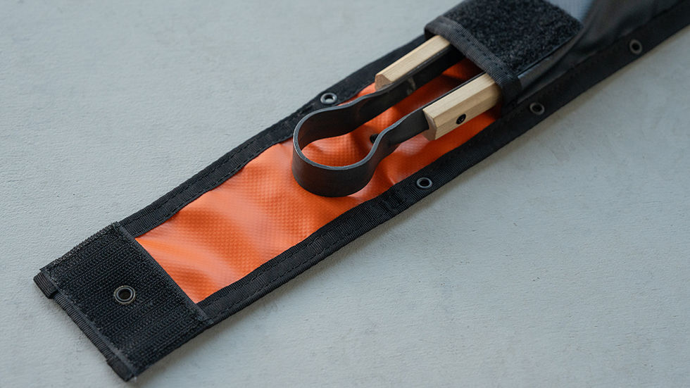 PULSE CASE(Balistics)