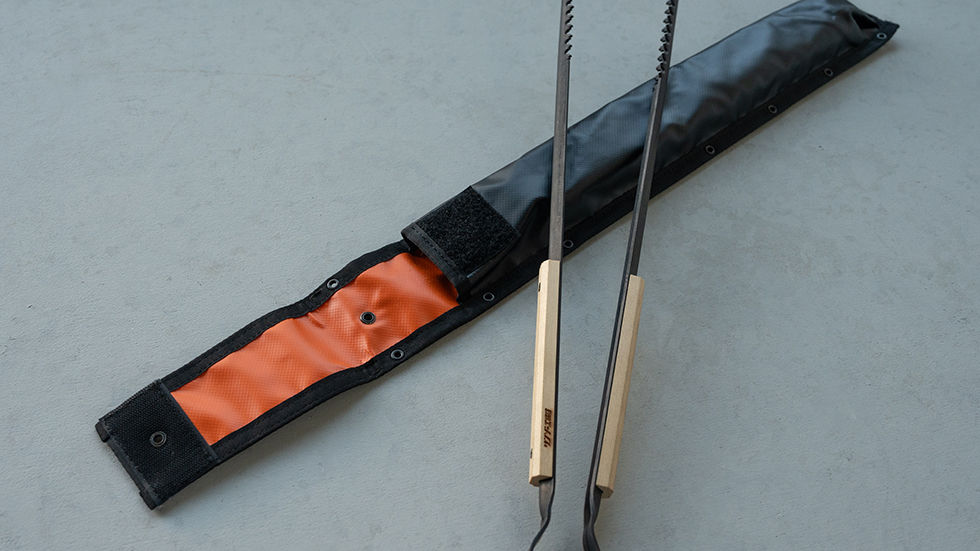 PULSE CASE(Balistics)