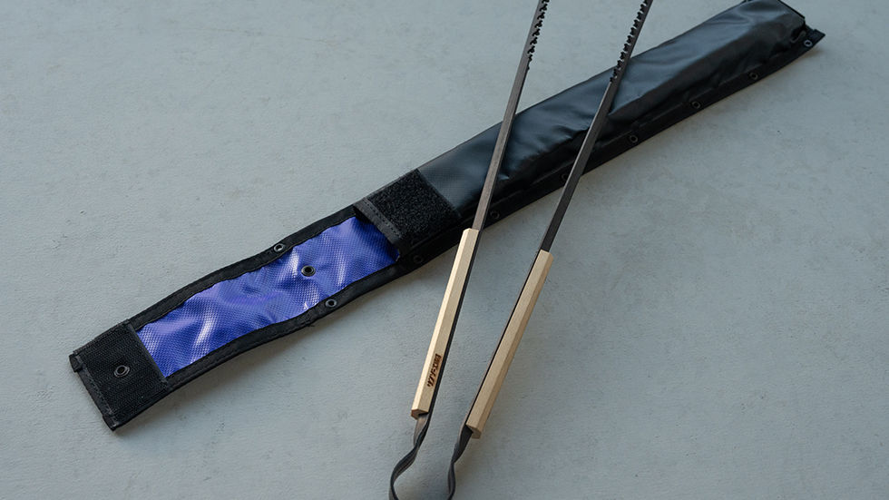 PULSE CASE(Balistics)