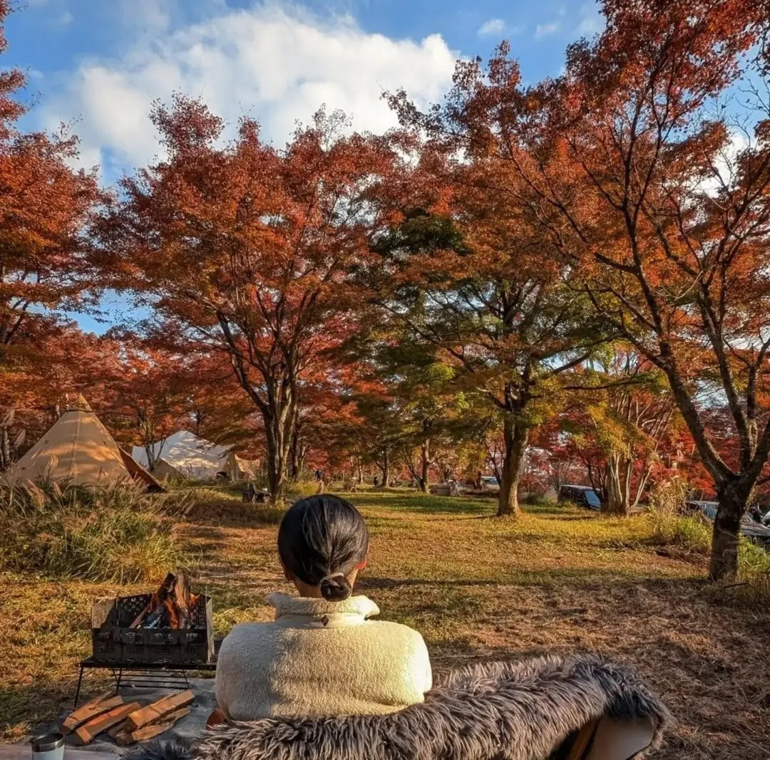 紅葉の木々の下でRODANの焚き火を楽しむ人の後ろ姿