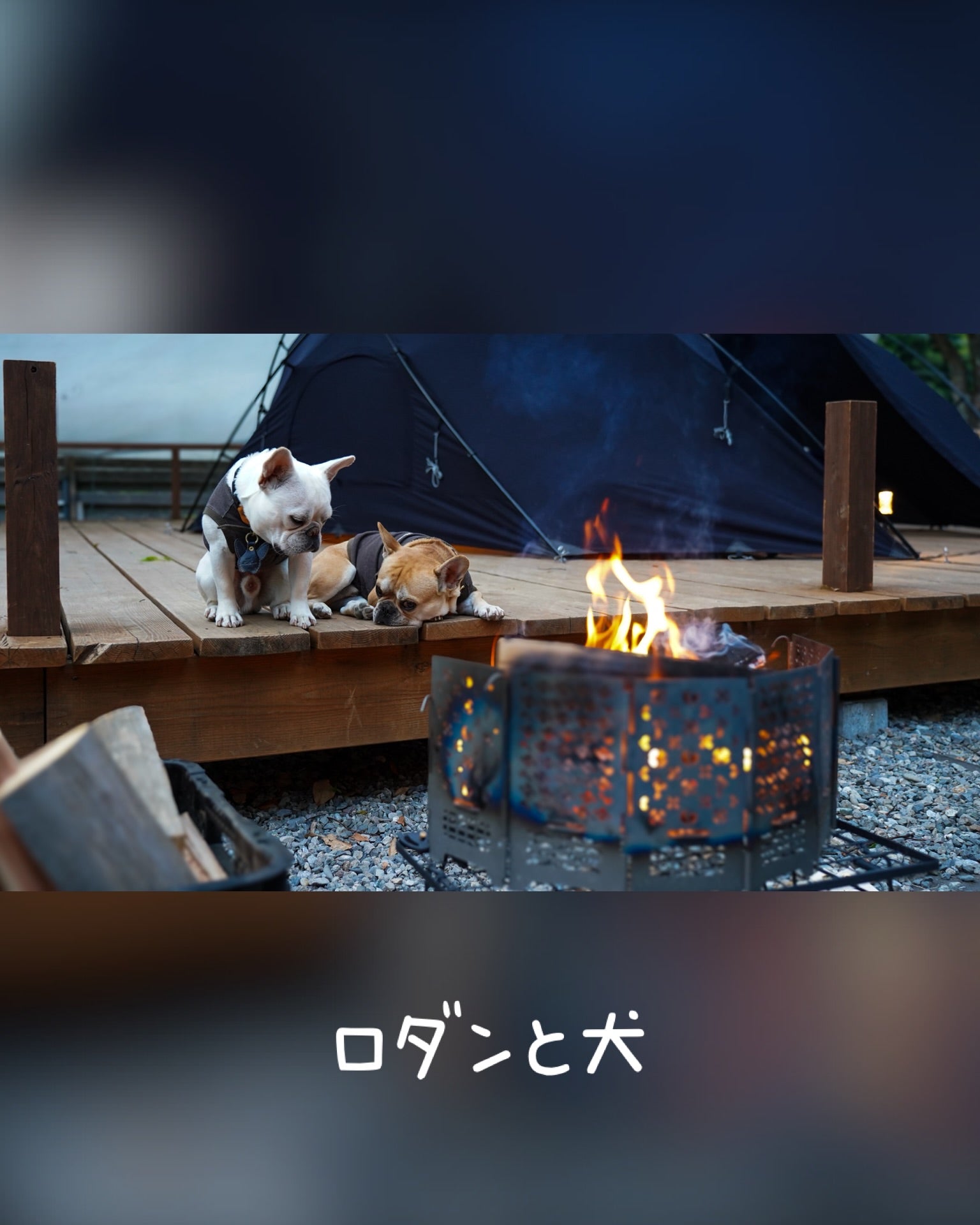 ウッドデッキでRODANの焚き火のそばにくつろぐ2頭の犬